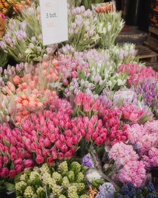 A vibrant display of fresh flowers at Belsize Park Station florists, featuring a variety of tulips and hyacinths in shades of pink, purple, white, and green. The bouquets are arranged in clear plastic